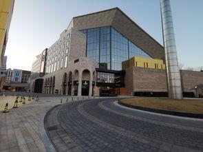 首尔之春,繁华都市中的温馨时光