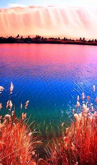 美丽至极,探寻自然与艺术的完美融合