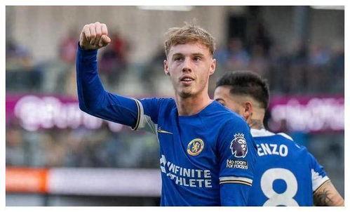 帕尔默,探索自然之美与生命奥秘的奇妙旅程