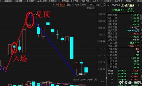 股市人生,财富与心灵的博弈之旅