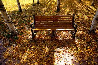 在长椅上 剧场版,剧场版情感之旅