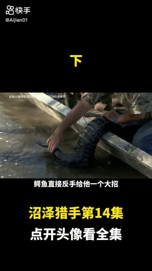 沼泽猎手 第十四季,神秘沼泽再起风云