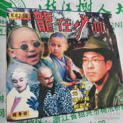 龙在少林,龙腾虎跃，武林风华